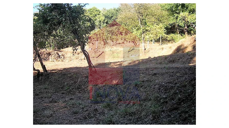 Terreno para Venda em Valbom (São Pedro), Passô e Valbom (São Martinho) Foto 3