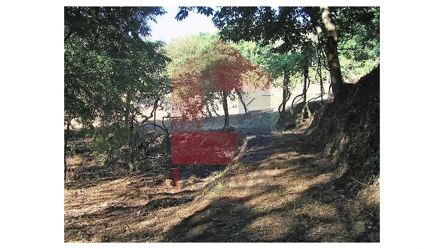 Terreno para Venda em Valbom (São Pedro), Passô e Valbom (São Martinho) Foto 2