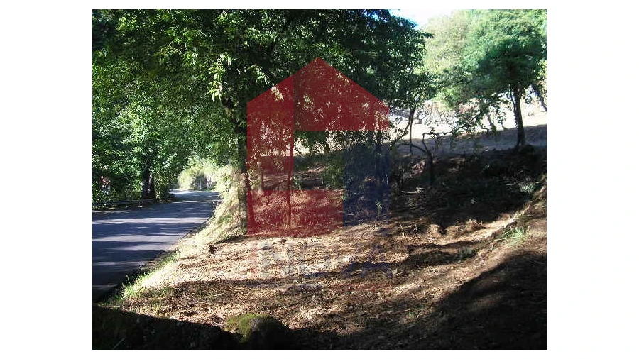 Terreno para Venda em Valbom (São Pedro), Passô e Valbom (São Martinho) Foto 1