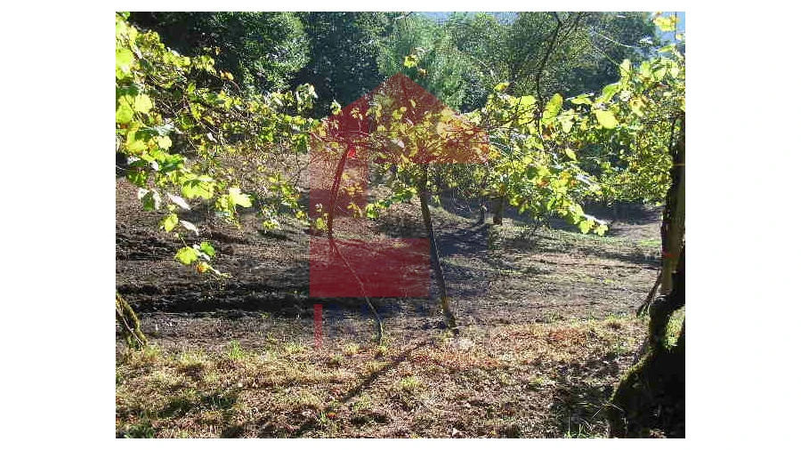 Terreno para Venda em Valbom (São Pedro), Passô e Valbom (São Martinho) Foto 12
