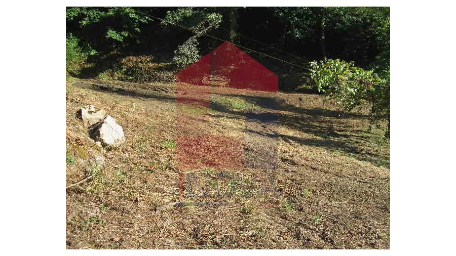 Terreno para Venda em Valbom (São Pedro), Passô e Valbom (São Martinho) Foto 5