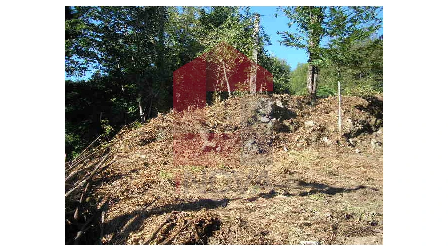 Terreno para Venda em Valbom (São Pedro), Passô e Valbom (São Martinho) Foto 10