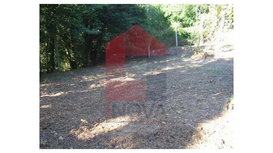 Terreno para Venda em Valbom (São Pedro), Passô e Valbom (São Martinho) Foto 7