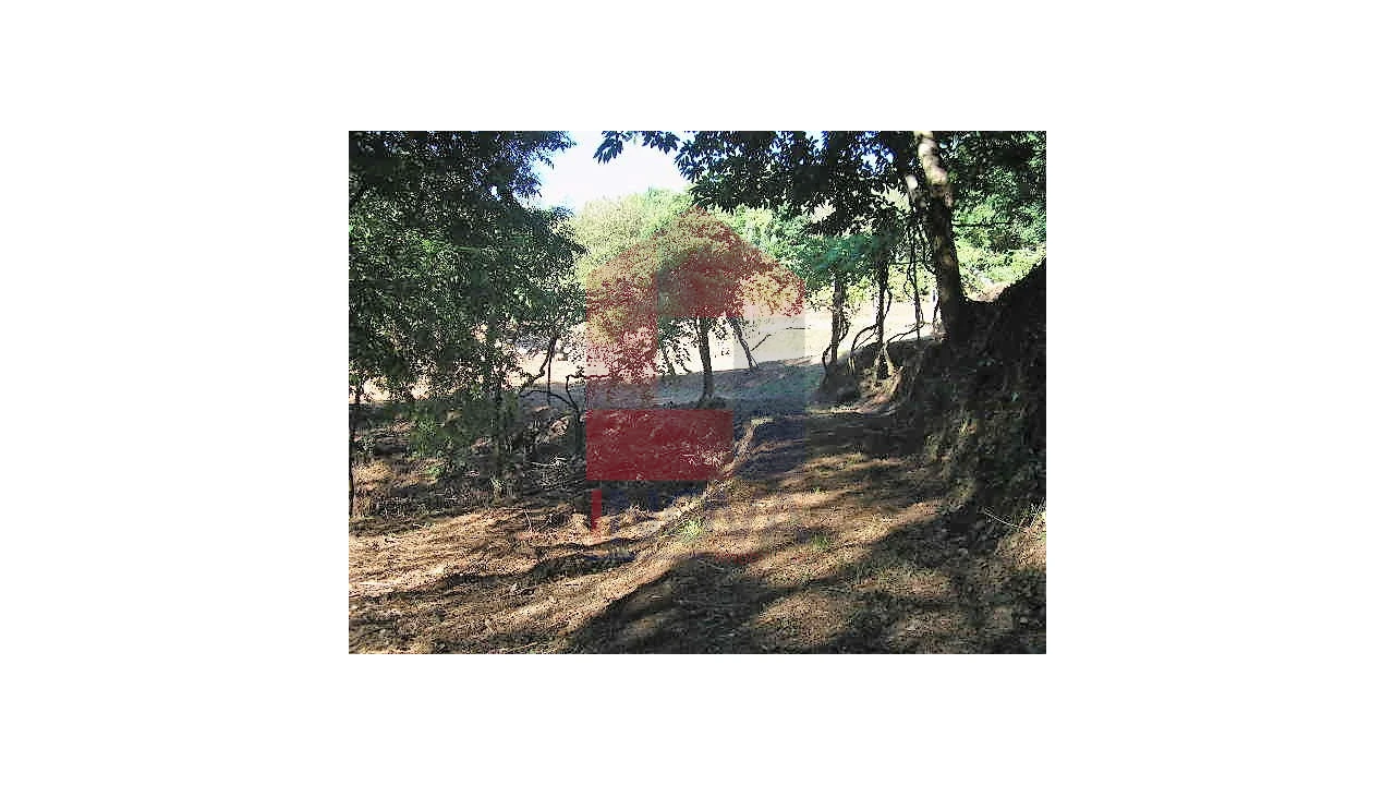 Terreno para Venda em Valbom (São Pedro), Passô e Valbom (São Martinho) Foto 2