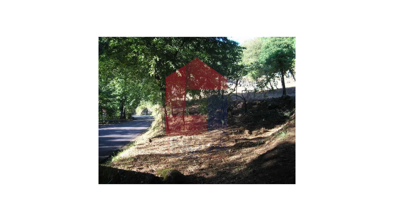 Terreno para Venda em Valbom (São Pedro), Passô e Valbom (São Martinho) Foto 1