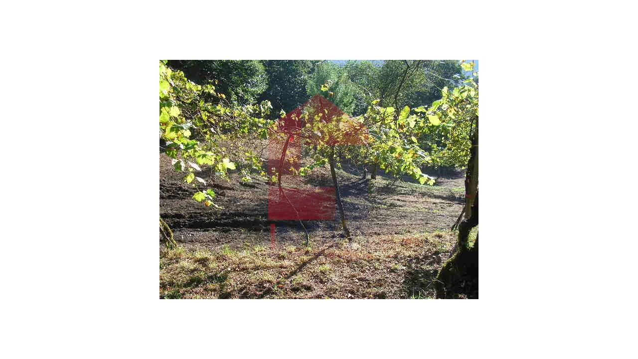 Terreno para Venda em Valbom (São Pedro), Passô e Valbom (São Martinho) Foto 12