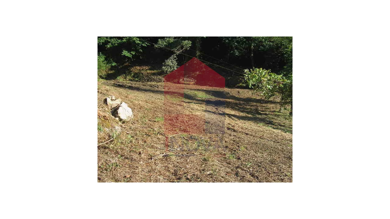 Terreno para Venda em Valbom (São Pedro), Passô e Valbom (São Martinho) Foto 5