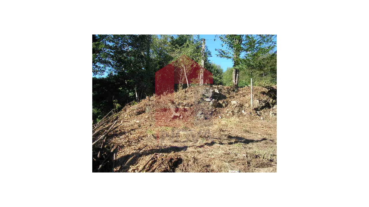 Terreno para Venda em Valbom (São Pedro), Passô e Valbom (São Martinho) Foto 10