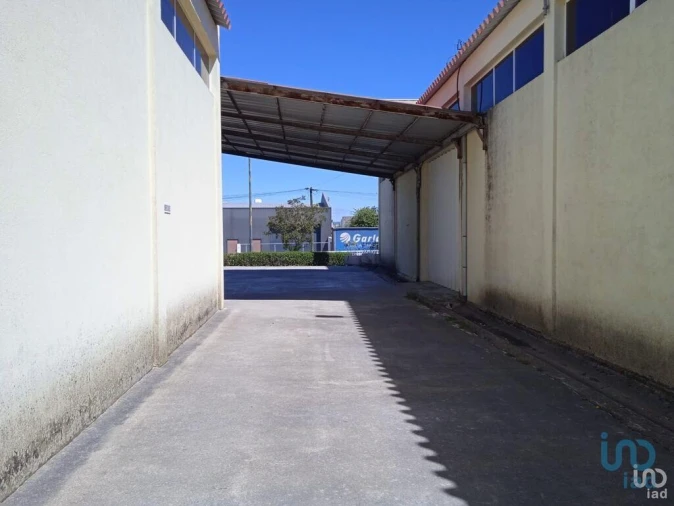 Negócio para Venda em Constantim e Vale de Nogueiras Foto 10