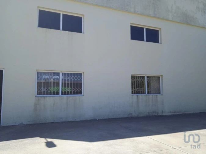 Negócio para Venda em Constantim e Vale de Nogueiras Foto 2