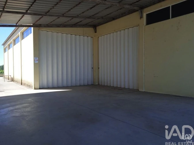 Negócio para Venda em Constantim e Vale de Nogueiras Foto 28