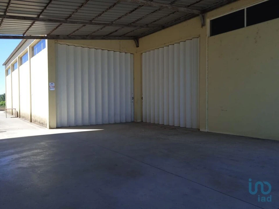 Negócio para Venda em Constantim e Vale de Nogueiras Foto 3