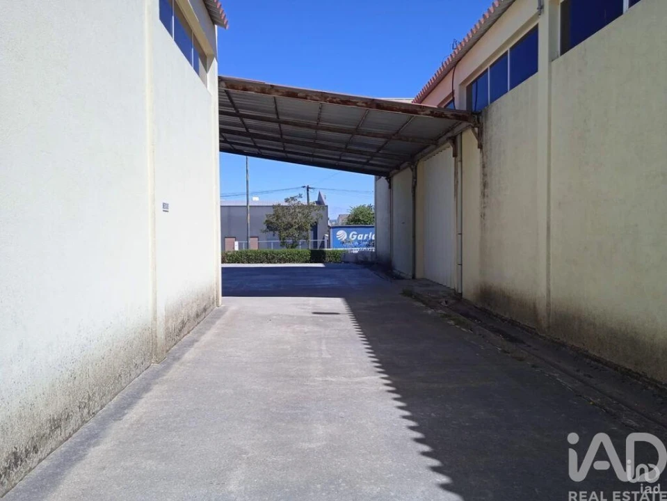 Negócio para Venda em Constantim e Vale de Nogueiras Foto 19