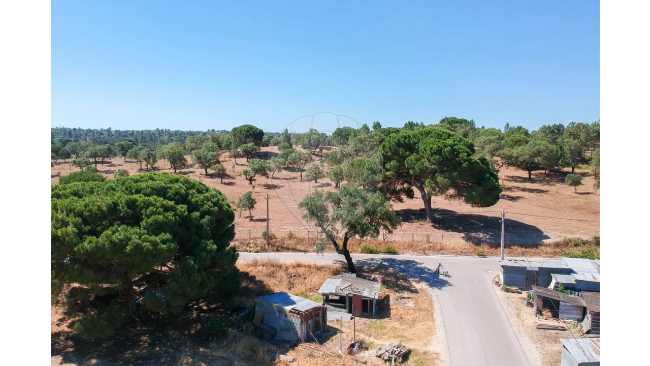 Terreno para Venda em Couço Foto 13