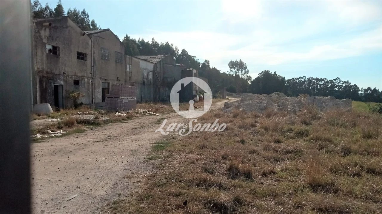 Terreno Agricola ou Rústico para Venda em Lemenhe, Mouquim e Jesufrei Foto 3