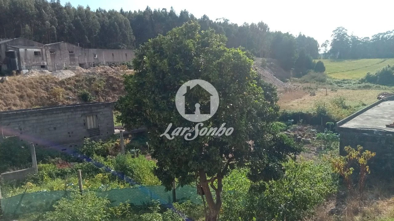 Terreno Agricola ou Rústico para Venda em Lemenhe, Mouquim e Jesufrei Foto 8