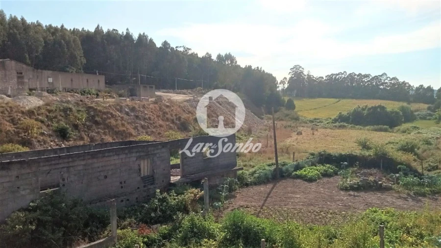 Terreno Agricola ou Rústico para Venda em Lemenhe, Mouquim e Jesufrei Foto 4