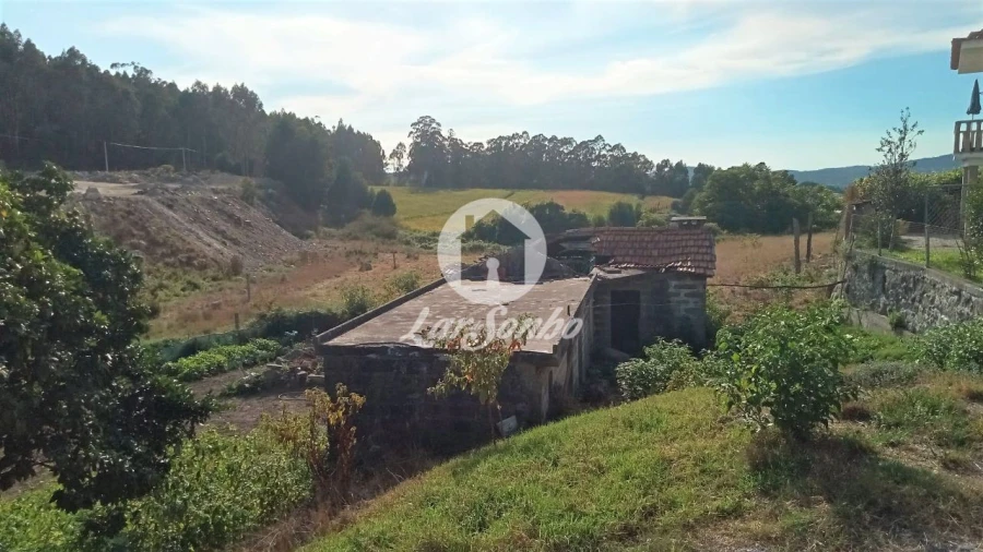 Terreno Agricola ou Rústico para Venda em Lemenhe, Mouquim e Jesufrei Foto 6