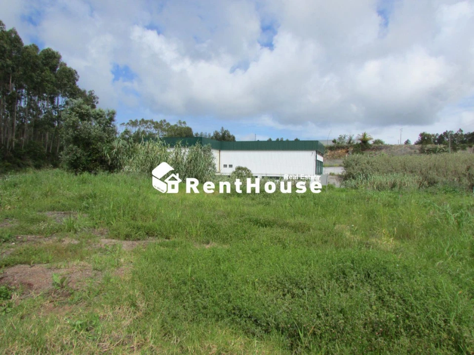 Terreno Agricola ou Rústico para Venda em Alhadas Foto 5