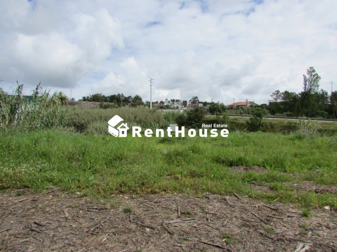 Terreno Agricola ou Rústico para Venda em Alhadas Foto 3