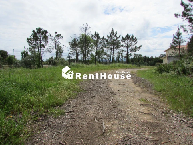 Terreno Agricola ou Rústico para Venda em Alhadas Foto 4
