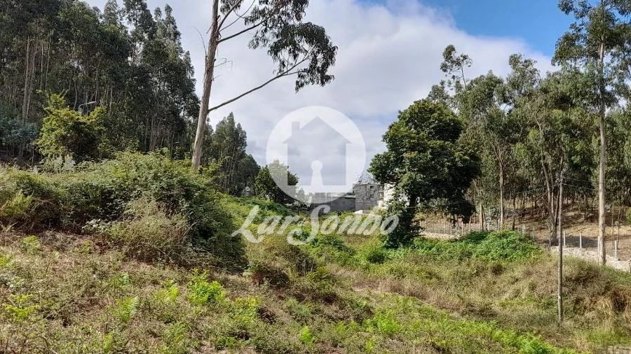 Terreno P/ Prédio para Venda em Arnoso (Santa Maria e Santa Eulália) e Sezures