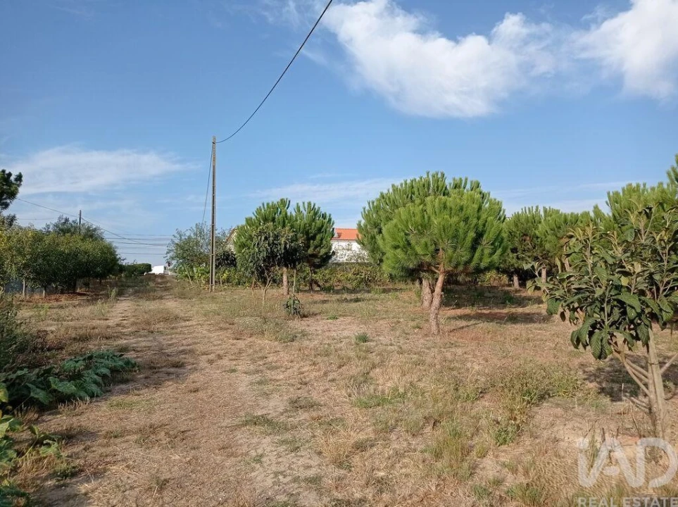 Terreno para Venda em Cadaval e Pêro Moniz Foto 27