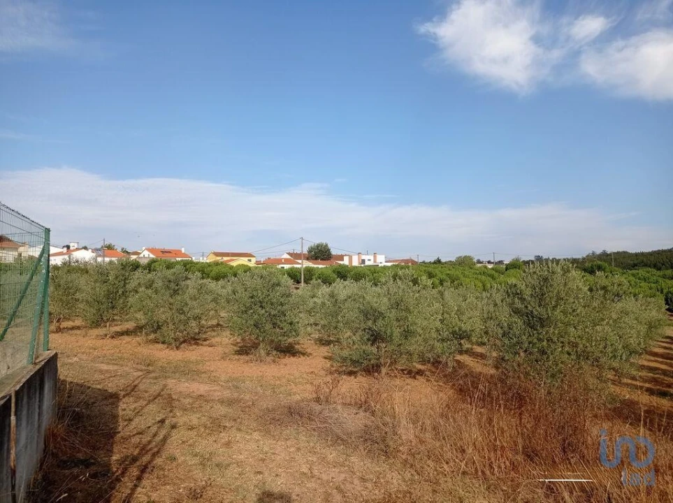 Terreno para Venda em Cadaval e Pêro Moniz Foto 12