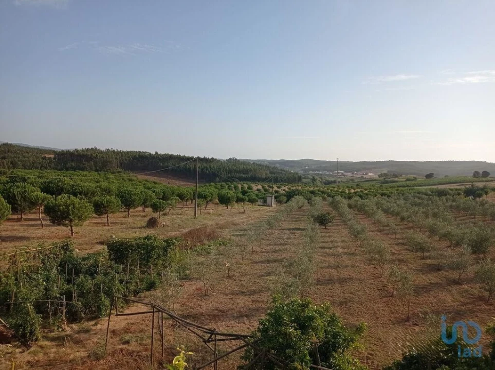 Terreno para Venda em Cadaval e Pêro Moniz Foto 5