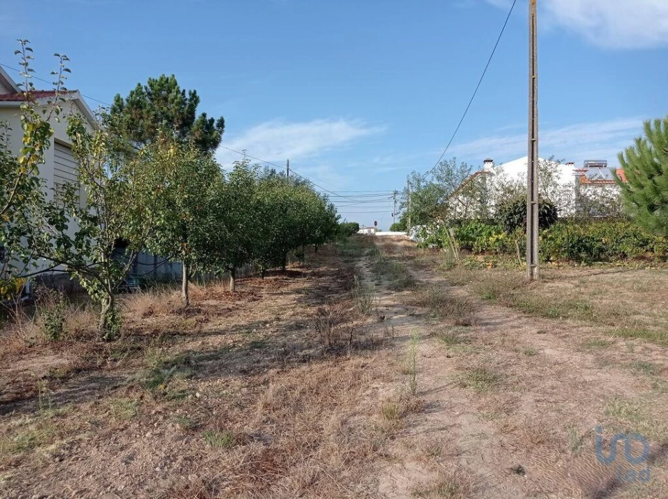 Terreno para Venda em Cadaval e Pêro Moniz Foto 9