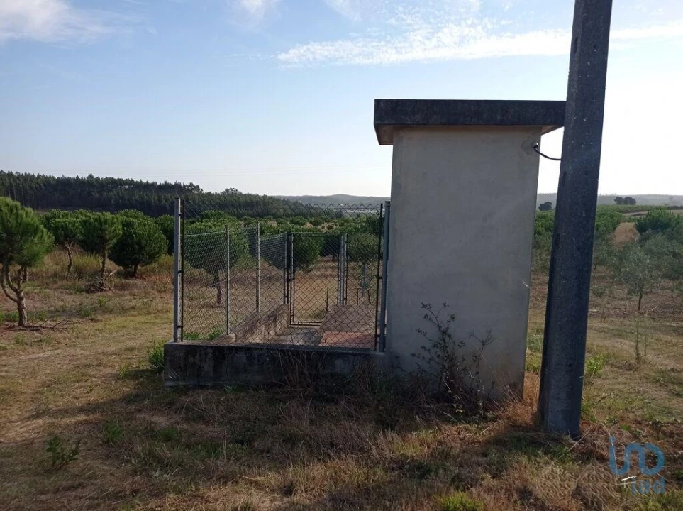 Terreno para Venda em Cadaval e Pêro Moniz Foto 4