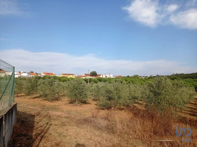 Terreno para Venda em Cadaval e Pêro Moniz Foto 12