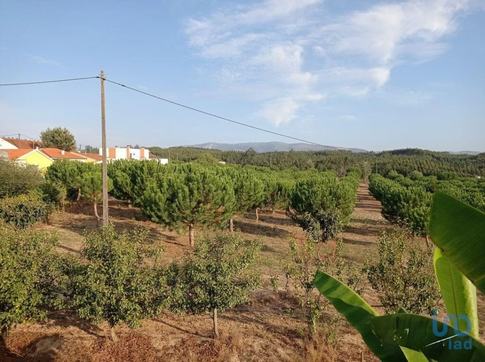 Terreno para Venda em Cadaval e Pêro Moniz Foto 1