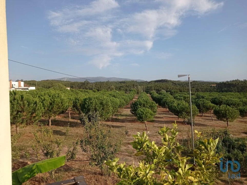 Terreno para Venda em Cadaval e Pêro Moniz Foto 2