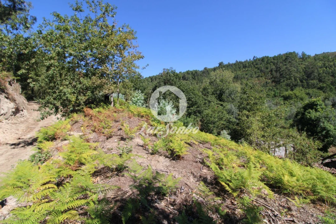 Quinta T2 para Venda em Caires Foto 4