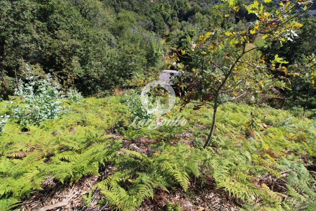 Quinta T2 para Venda em Caires Foto 5