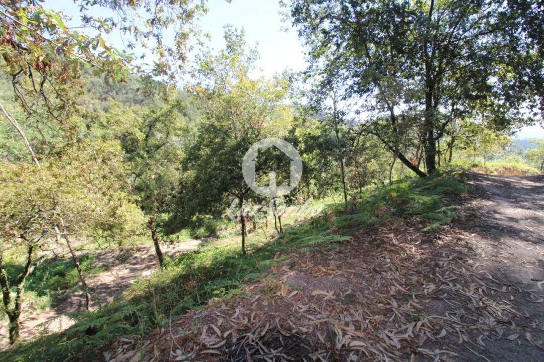 Quinta T2 para Venda em Caires Foto 6