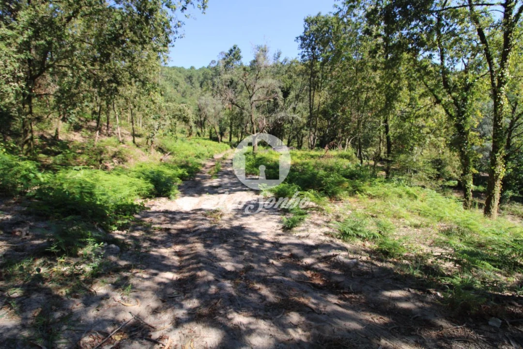 Quinta T2 para Venda em Caires Foto 7