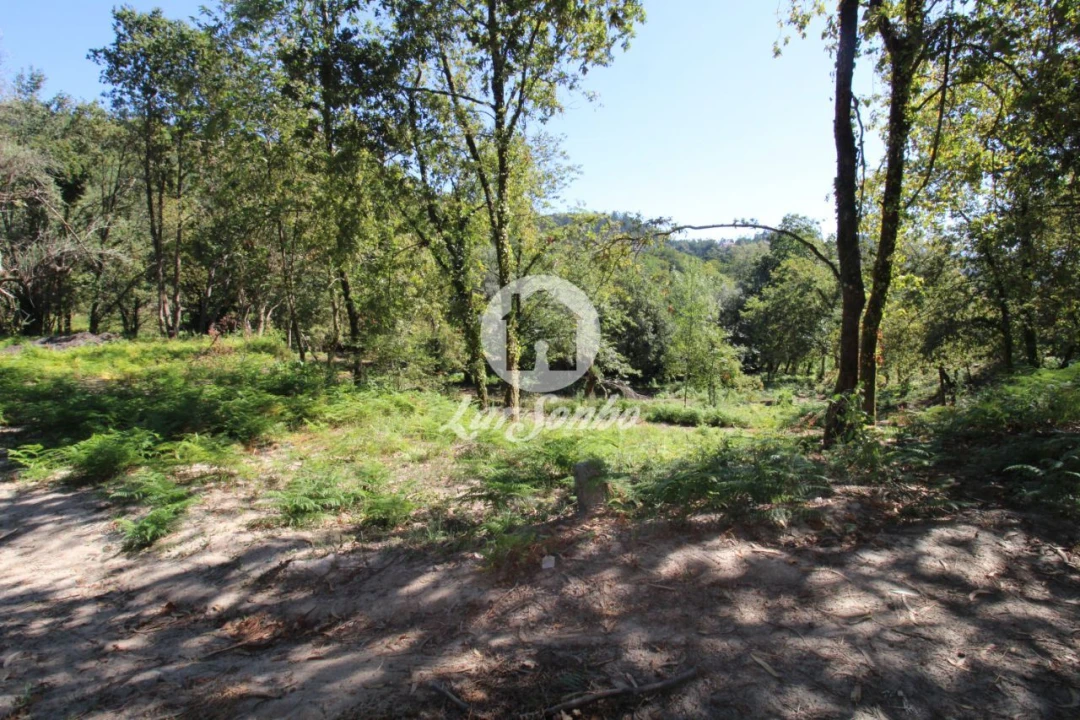 Quinta T2 para Venda em Caires Foto 8