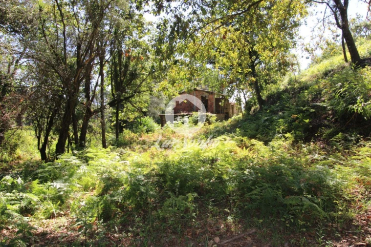 Quinta T2 para Venda em Caires Foto 1