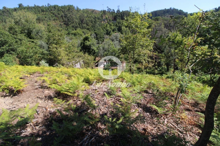 Quinta T2 para Venda em Caires Foto 3