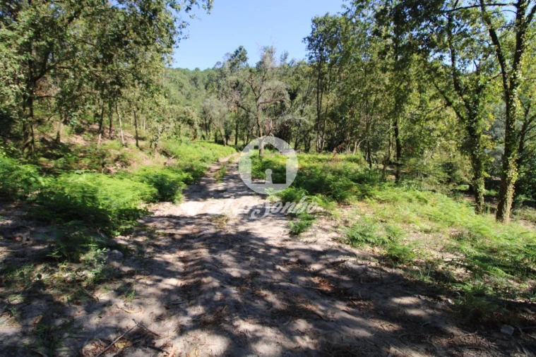 Quinta T2 para Venda em Caires Foto 7