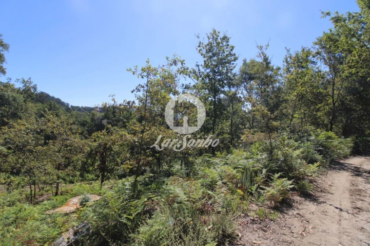 Quinta T2 para Venda em Caires Foto 9