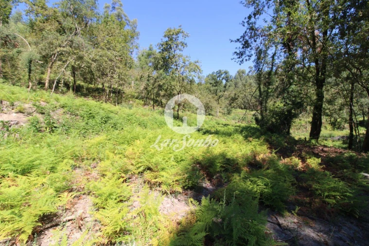 Quinta T2 para Venda em Caires Foto 11