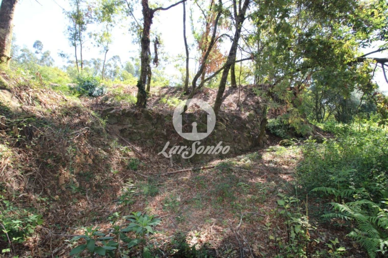 Quinta T2 para Venda em Caires Foto 13