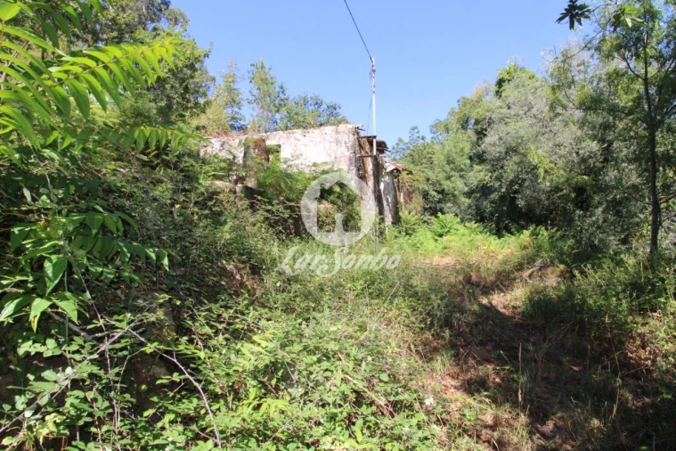 Quinta T2 para Venda em Caires Foto 17