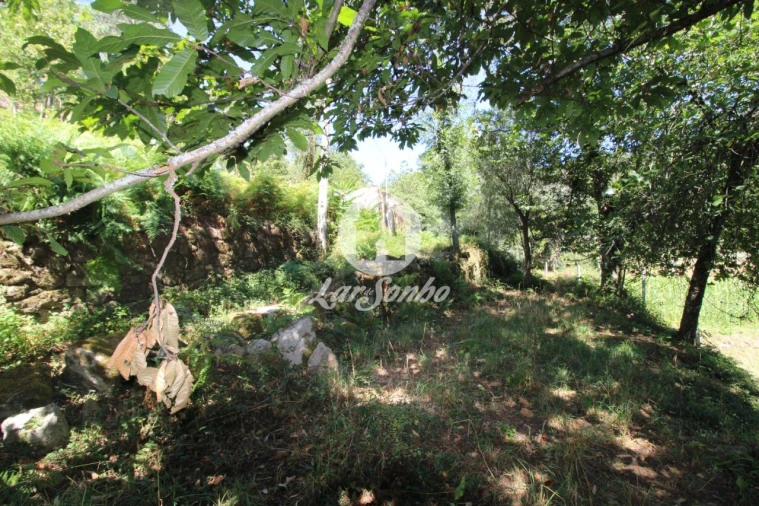 Quinta T2 para Venda em Caires Foto 18