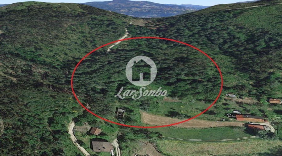 Quinta T2 para Venda em Caires Foto 20