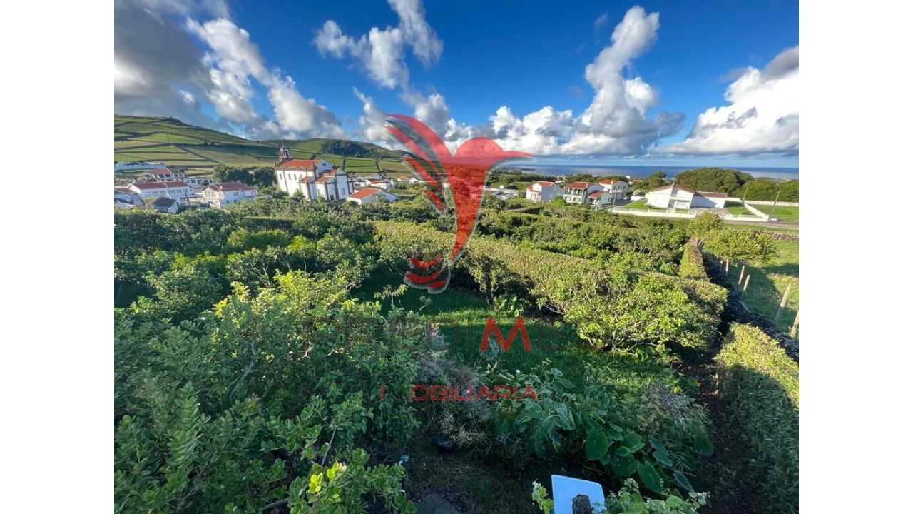 Terreno para Venda em Fonte do Bastardo Foto 9
