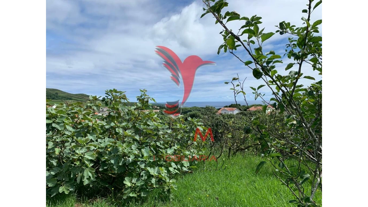 Terreno para Venda em Fonte do Bastardo Foto 6